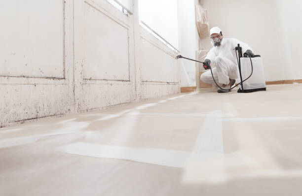 24/7 Emergency Mold Remediation experts in Lacey, WA