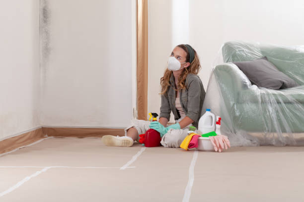 Reliable Mold Remediation contractor in Lacey, WA by 24 Hour Mold Removal